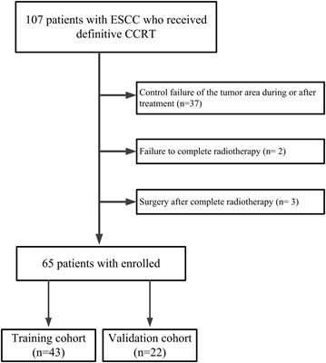 A combined predicting model for benign esophageal stenosis after simultaneous integrated boost in esophageal squamous cell carcinoma patients (GASTO1072)